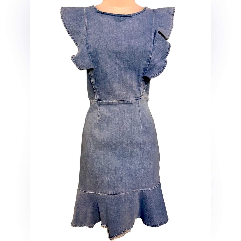 Denim Ruffle Dress